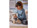 Smiling woman petting a small dog wearing a Zoofari Dog Harness, sitting on a rug.