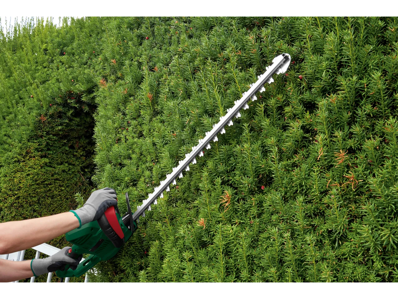 Go to full screen view: 650W Electric Hedge Trimmer - Image 1