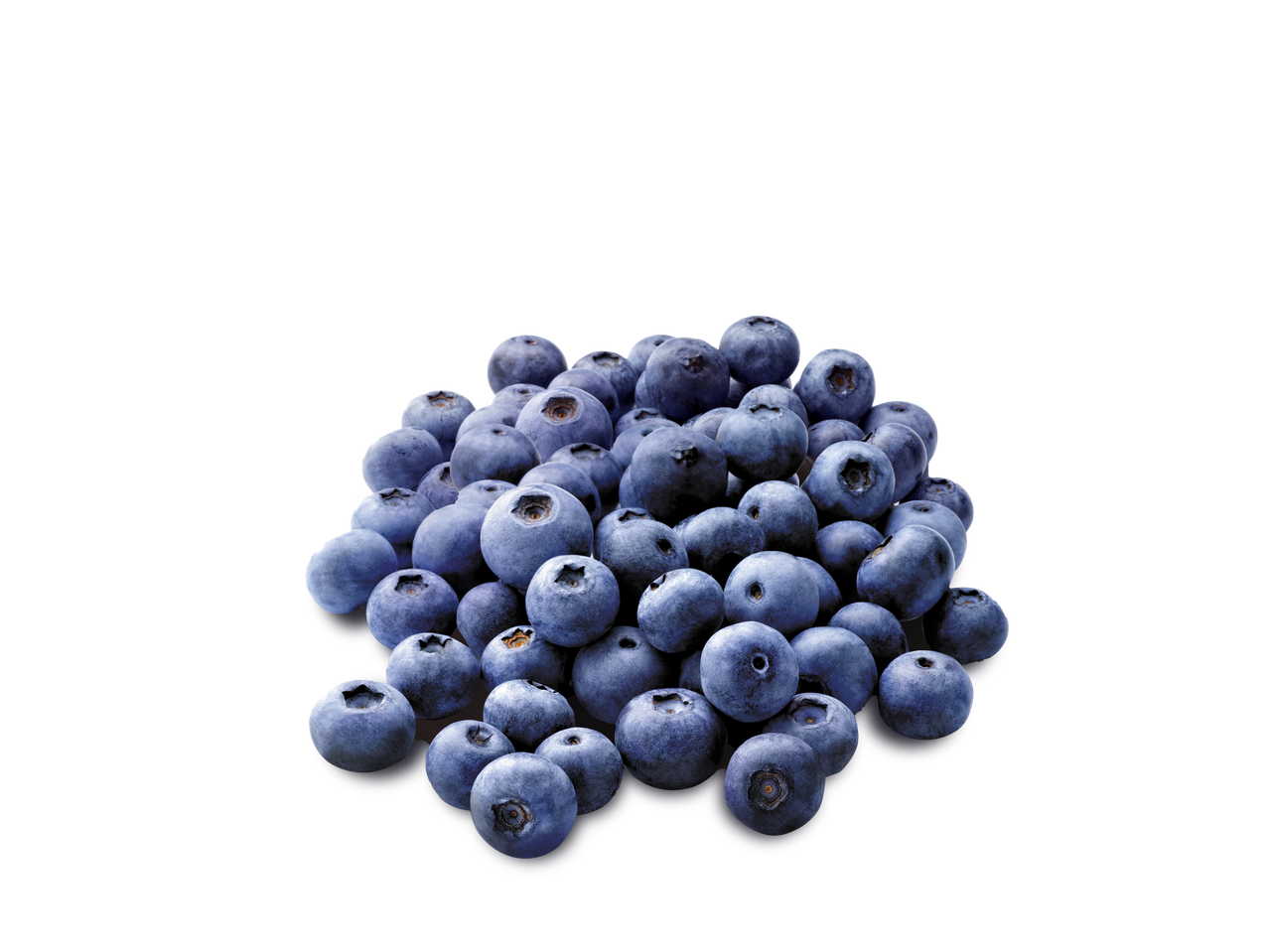 Borówki amerykańskie