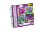 25 bulbs: tulips, hyacinths, muscari, and crocuses.