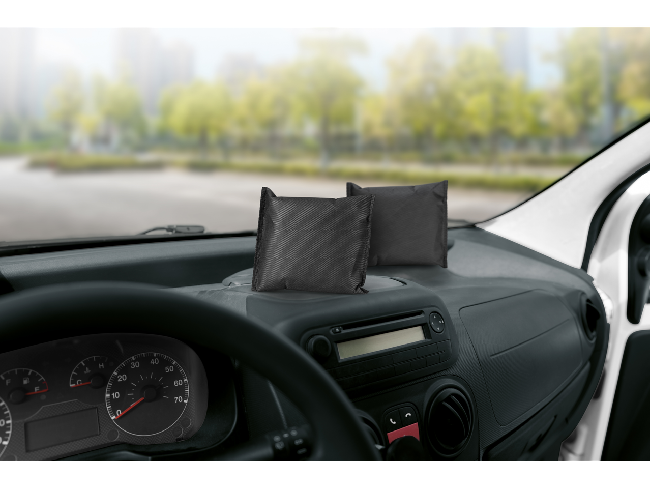 Du juodi drėgmės sugėrikliai ant automobilio prietaisų skydelio, su neryškiu lauko fonu.