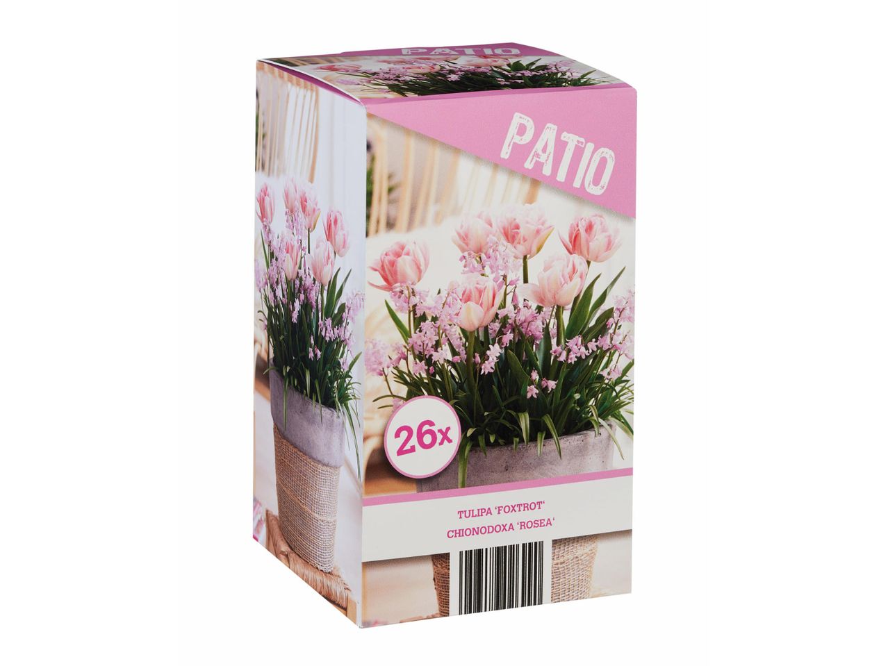 Rózsaszín tulipánok és virágok egy dobozban, „PATIO” felirattal.