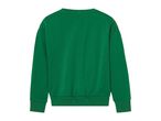Back view of a plain green crewneck sweatshirt.