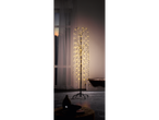 LIVARNO home LED Light Tree with warm white lights, standing in a room with a window at dusk.