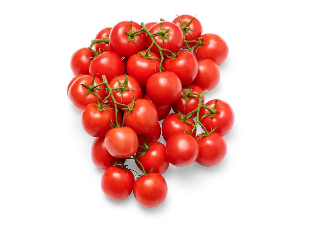 Rode tomaten aan de tak.