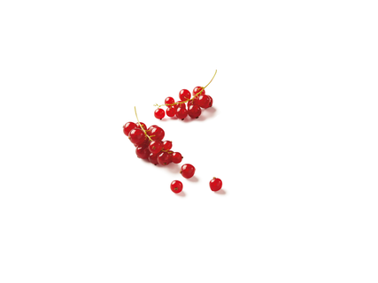 Deutsche Johannisbeeren, lose