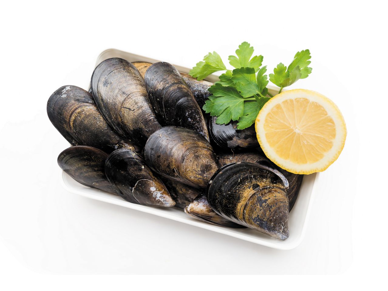 Go to full screen view: Mussels - Image 1