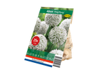 Allium 'Ping Pong' seed packet with white flowers and bulbs.