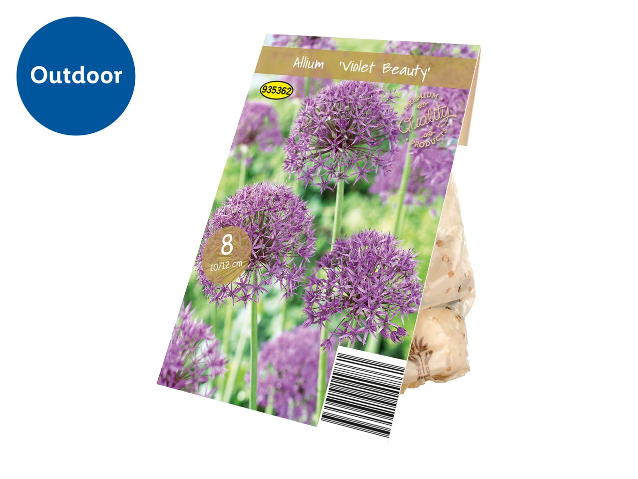 Outdoor Allium 'Violet Beauty' flower bulbs in packaging, showing purple flowers and product details.