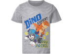 T-shirt cinzenta infantil com cachorro e dinossauro, texto 'DINO EXPERT' e 'PAW PATROL'.