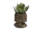 En jadeplante i en Buddha-formet potte.