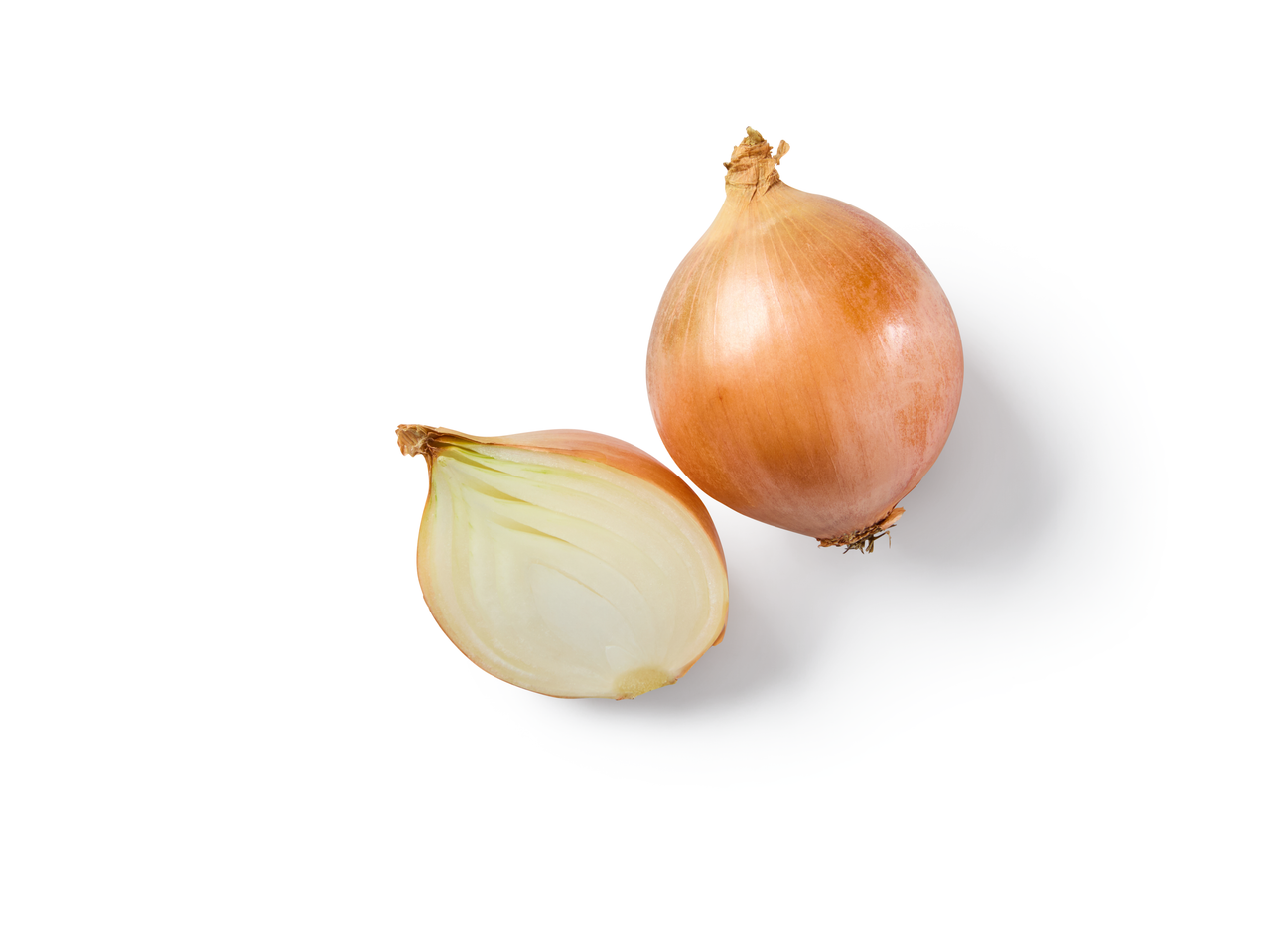 Cebola inteira e meia cebola cortada sobre um fundo branco.