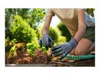 Person in gardening gloves installing copper mesh around plants in a garden bed.