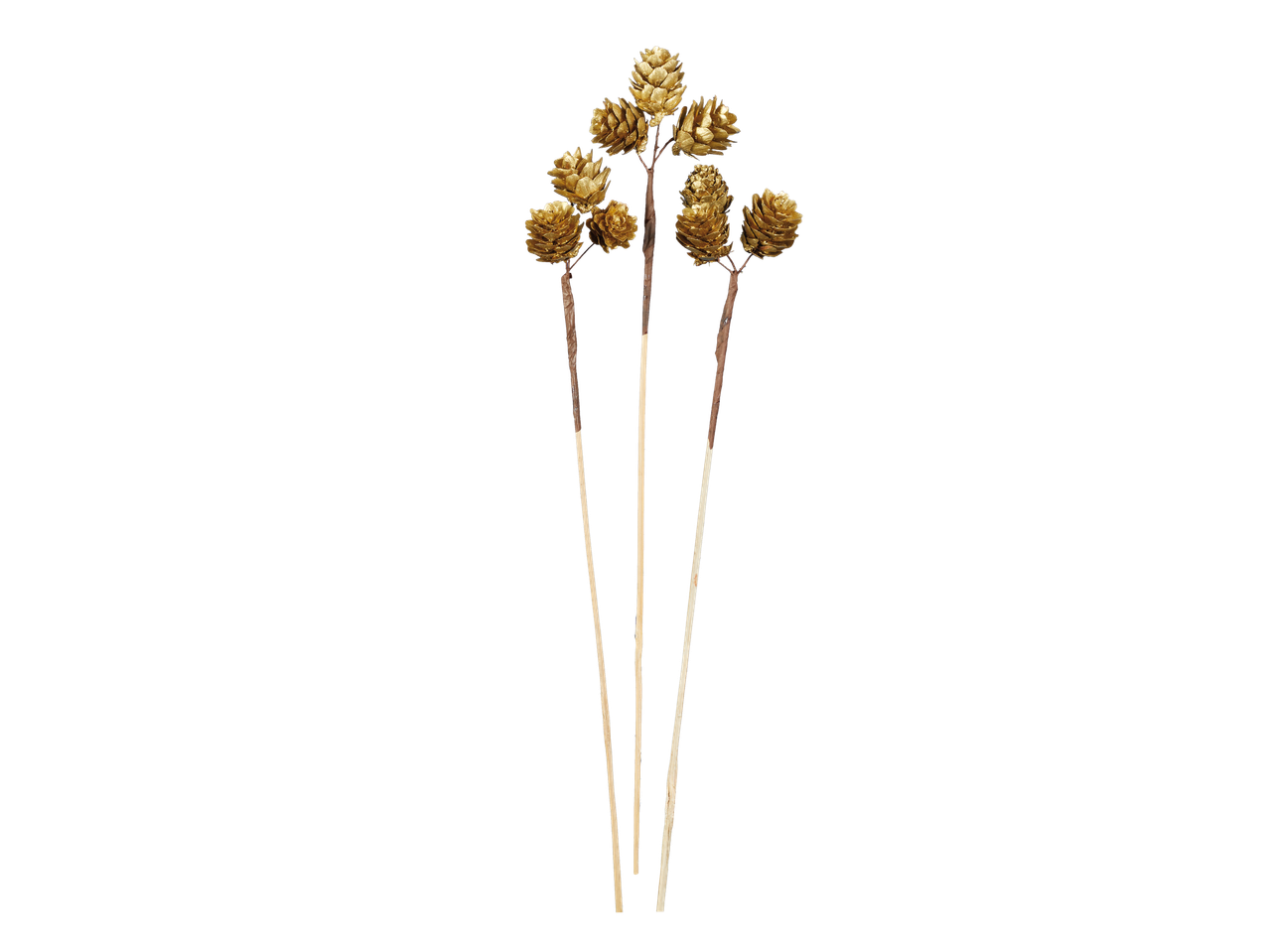 Golden pine cone Christmas dried pick mix on long stems.