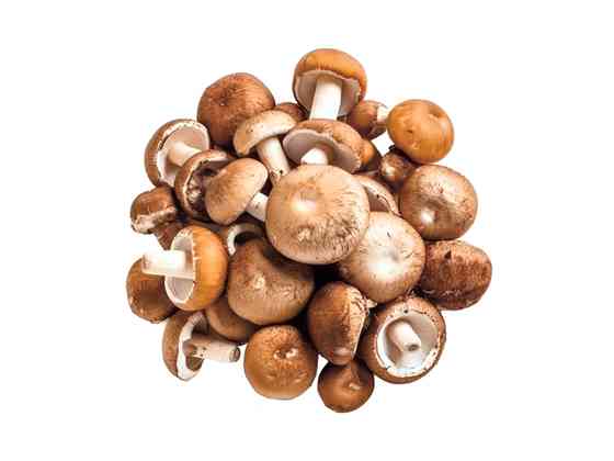 Ciuperci Champignon brune