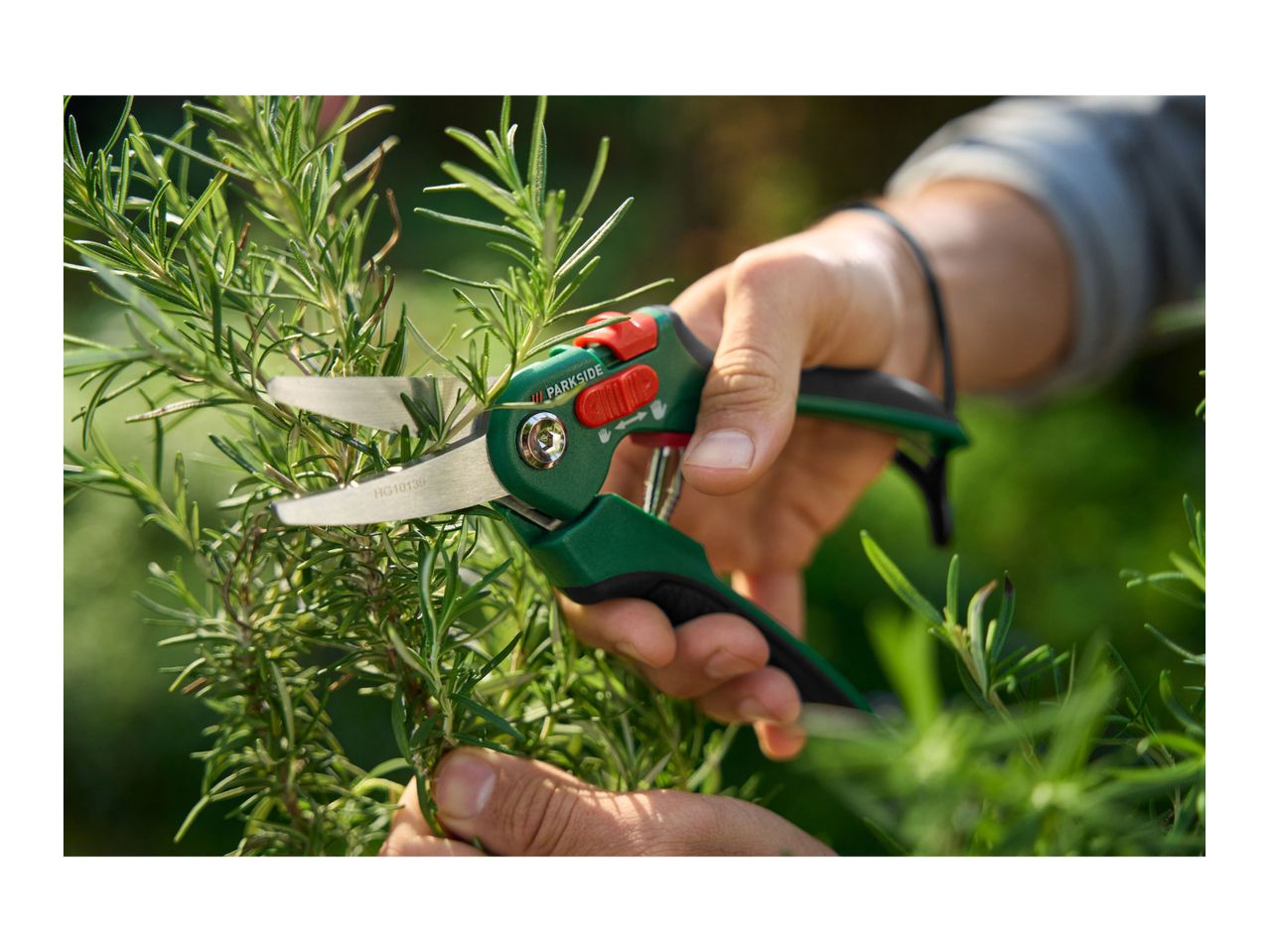 Go to full screen view: Parkside Universal Secateurs - Image 3