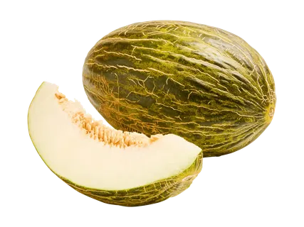 Melon doux Piel de Sapo