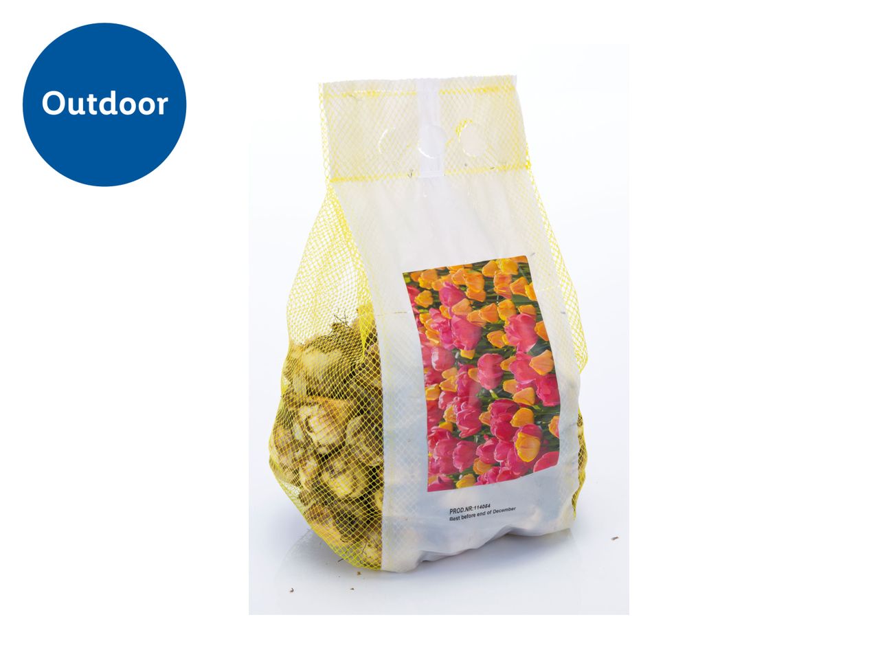 A mesh bag of tulip bulbs with a label showing pink and orange tulips, for outdoor planting.