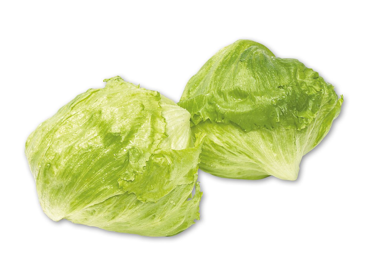 To friske hoveder af sprød iceberg salat med vanddråber.