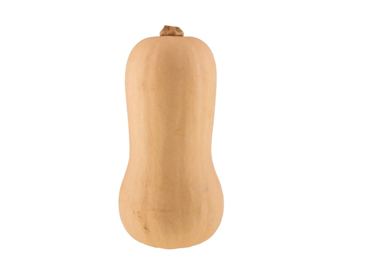 Go to full screen view: Butternut Squash - Image 1