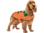 Cocker Spaniel dog wearing an orange pumpkin costume with a green stem.