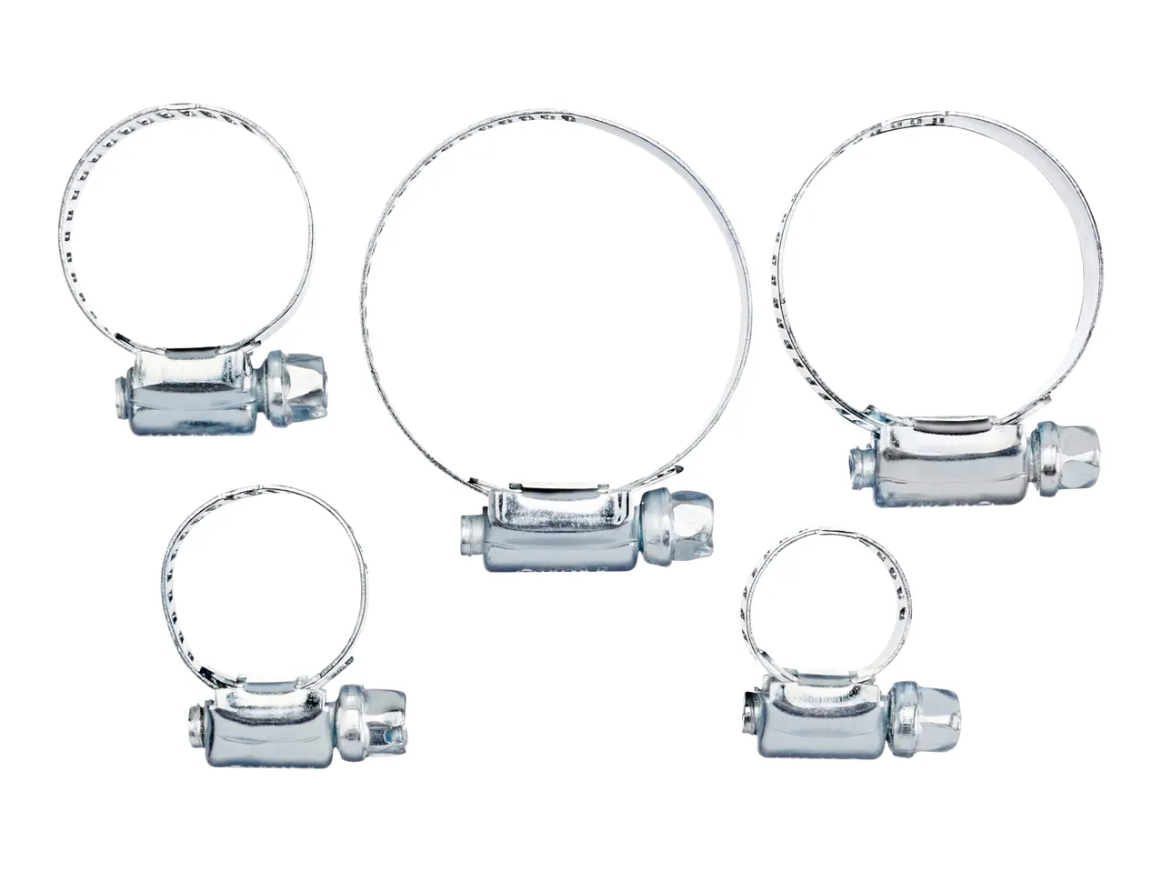 Five metal hose clamps of various sizes on a white background