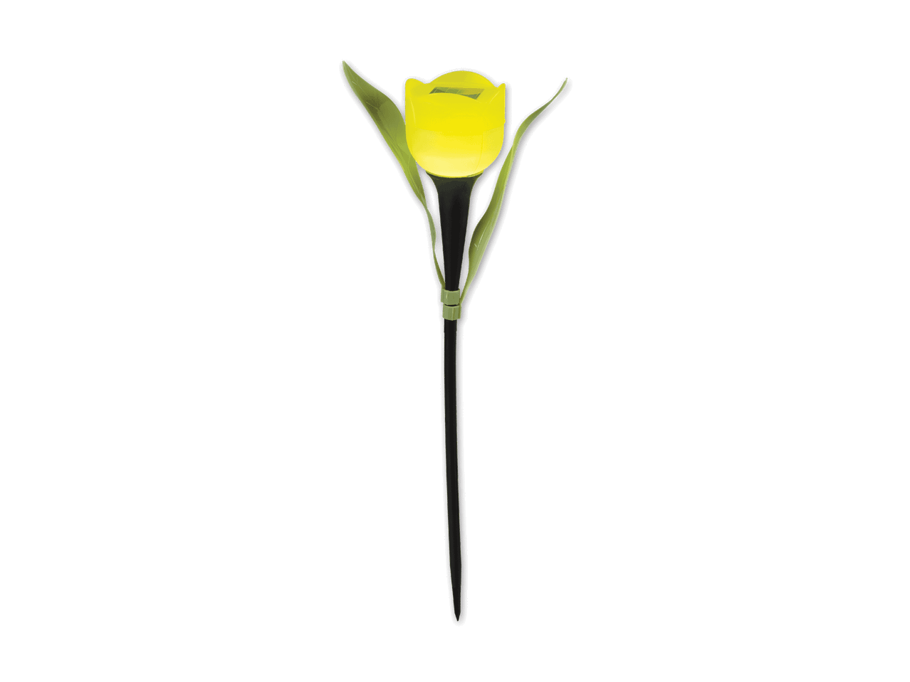 Solar-Tulpenleuchte in Gelb mit grünen Blättern auf schwarzem Hintergrund.