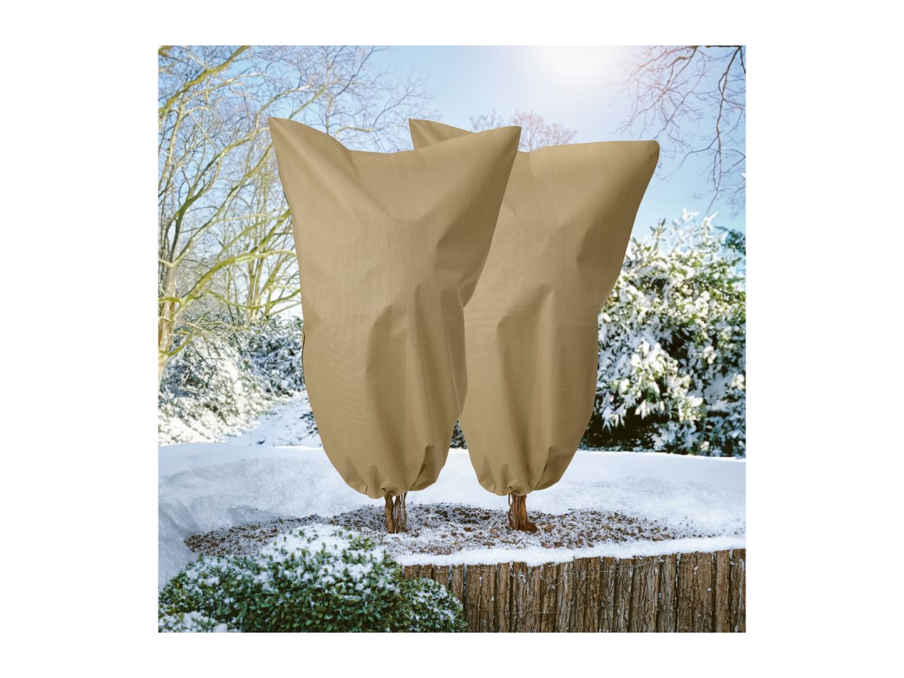 Two plant covers protecting small trees in a snowy garden