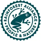 frog_rainforrest
