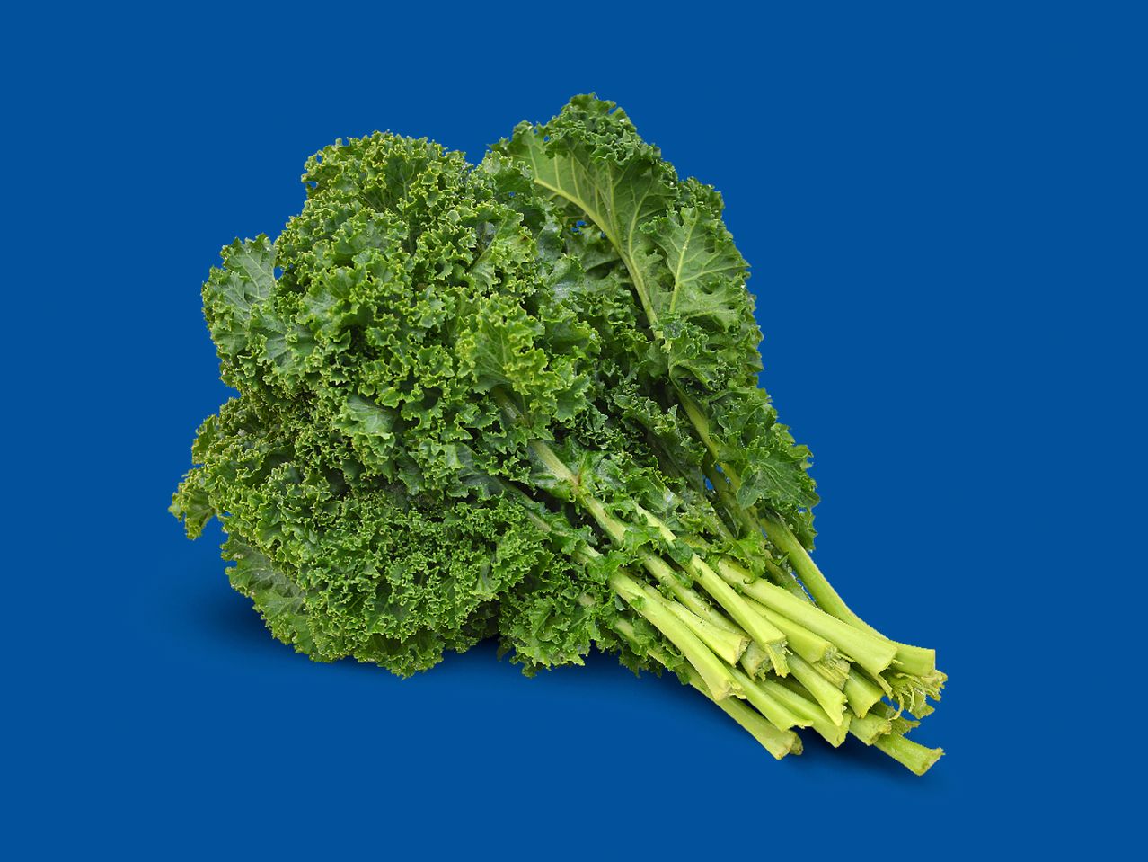 Go to full screen view: Curly Kale - Image 1