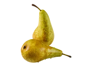 Hrušky
