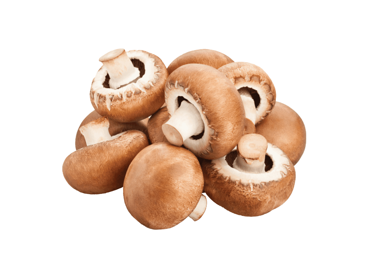 Pruunid šampinjonid