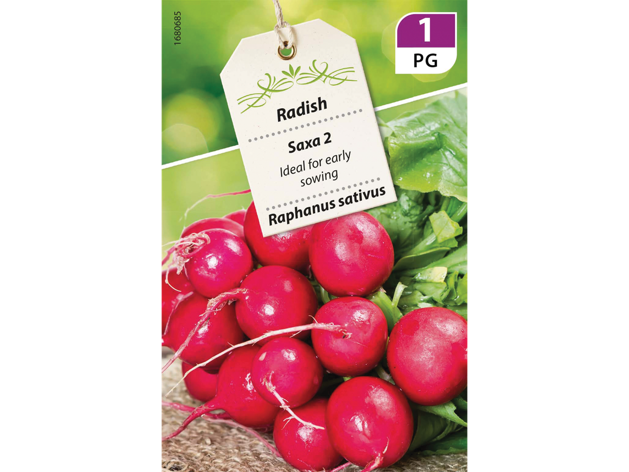 Radish 'Saxa 2' seeds for early sowing, with fresh radishes and green leaves.