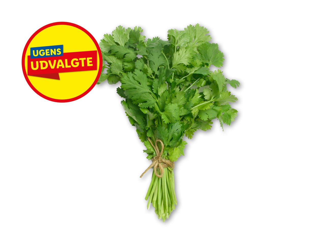 En buket frisk koriander med et gult mærke, der siger 'UGENS UDVALGTE'.