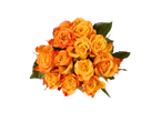 Um buquê de rosas laranja-fogo sobre fundo preto.