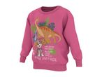 Pink long-sleeved sweatshirt with a dinosaur and a cartoon dog, text reads 'No dinos too big, No pups too small'
