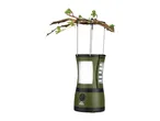 Green camping lantern with LED lights hanging from a tree branch with fresh green leaves.