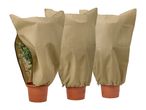 Three potted plants covered with beige winter protection covers
