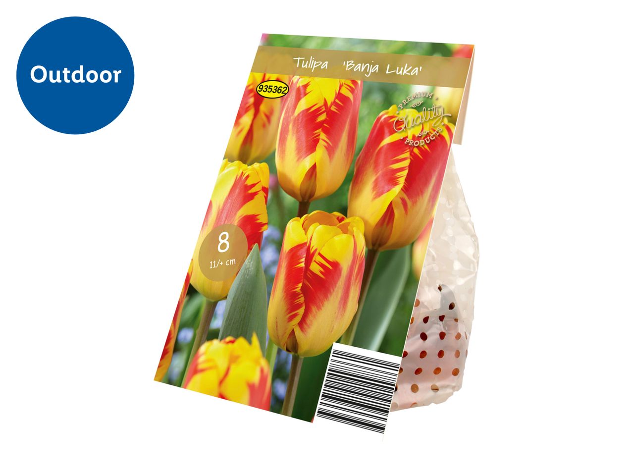 A package of 'Banja Luka' tulip bulbs with a label indicating it's for outdoor use.