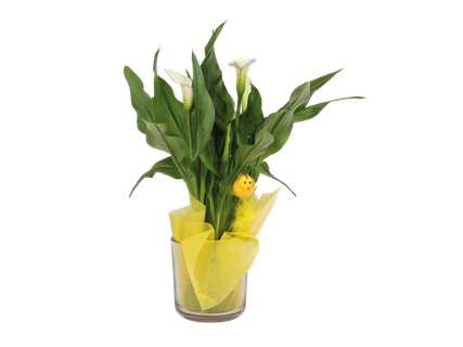 Húsvéti kála üvegben*