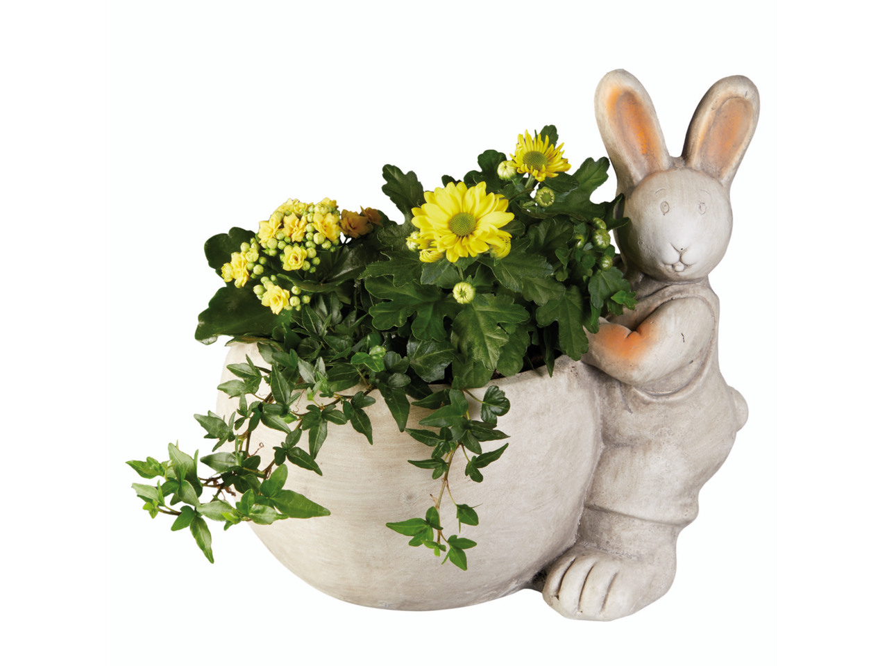 Rabbit-shaped planter with chrysanthemums and kalanchoe.