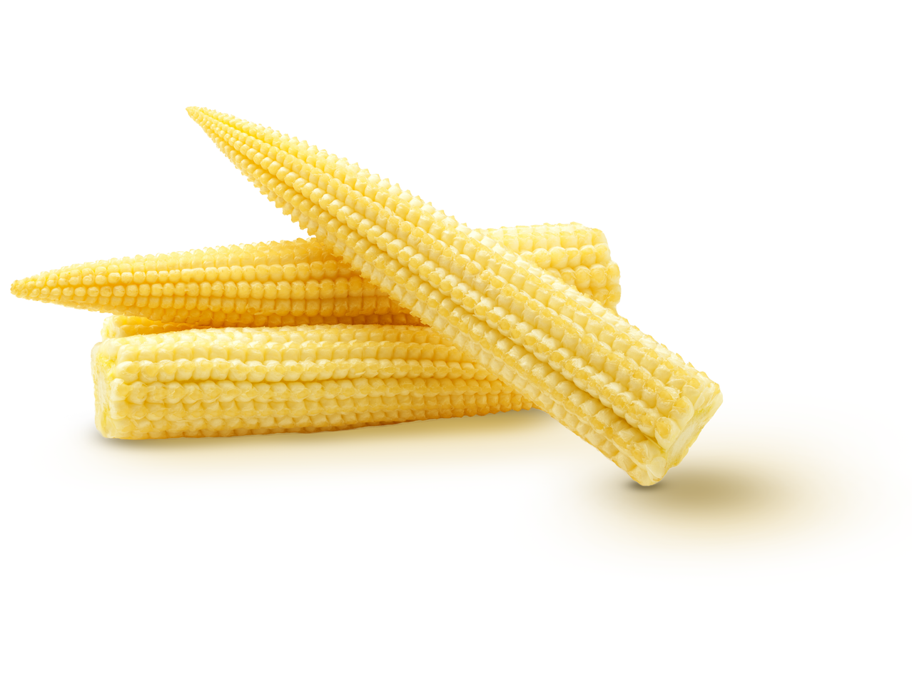 Three baby corn cobs are arranged on a white background.