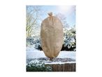 Beige winter protection fleece cover on a small tree in a snowy garden