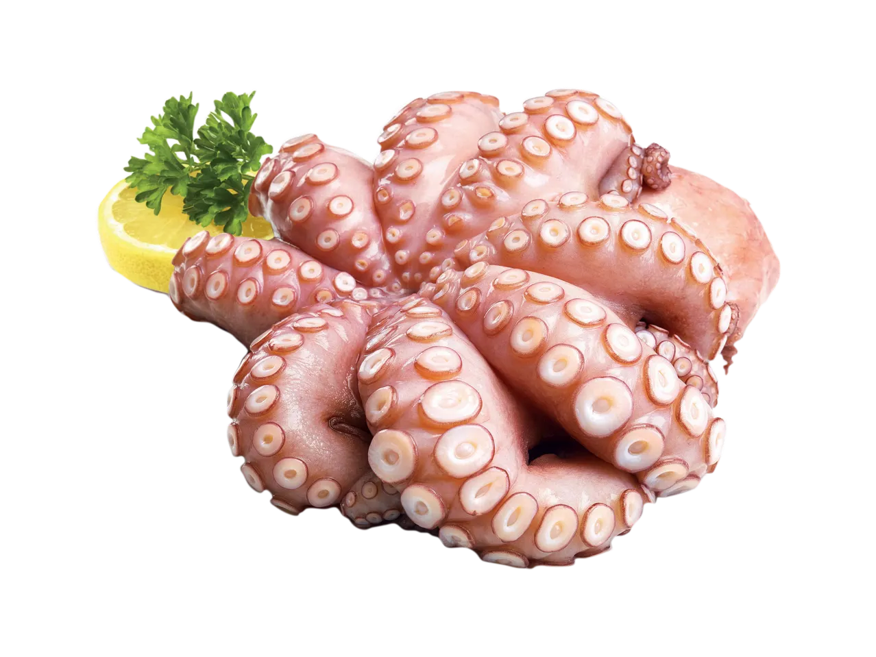 Noriberica Polpo eviscerato