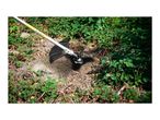 A string trimmer cutting through overgrown weeds and brambles in a garden.