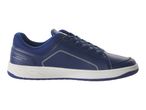 Navy blue sneakers