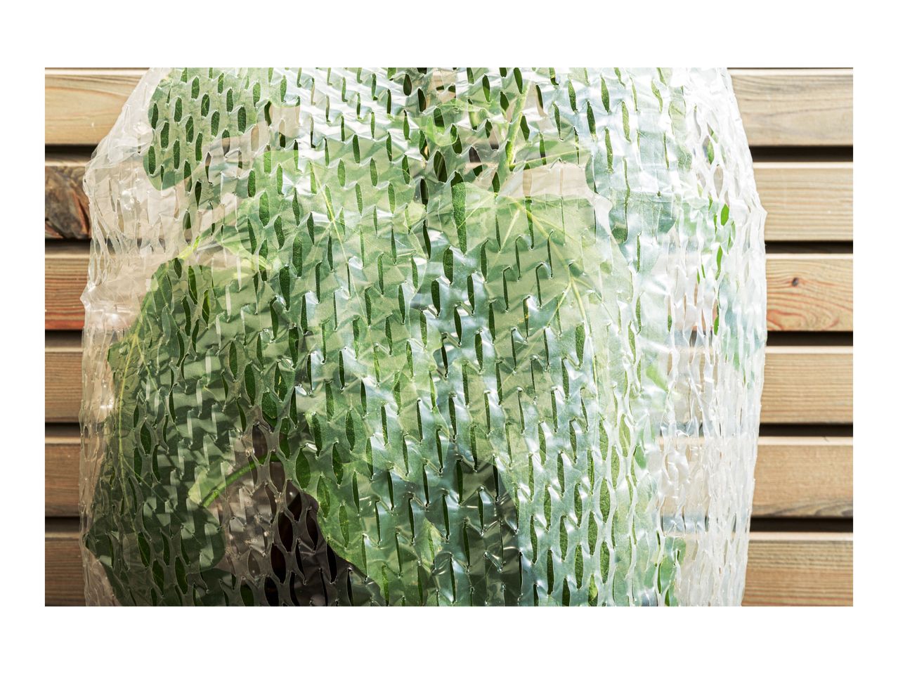 Go to full screen view: Parkside Plant Protection Shrub Film Cover - 5 pack - Image 2