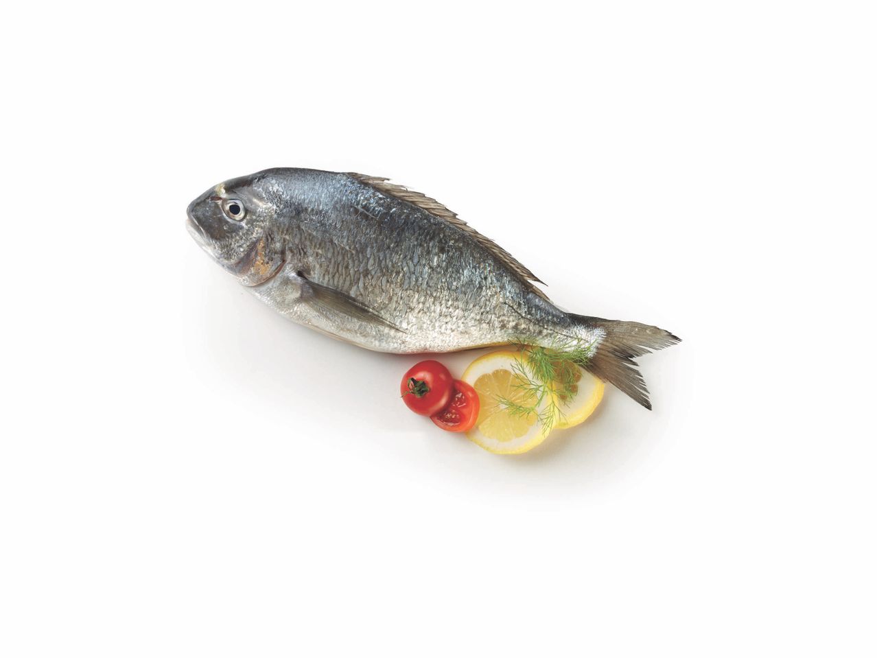 Un pesce fresco, probabilmente un'orata, con limone e pomodoro.