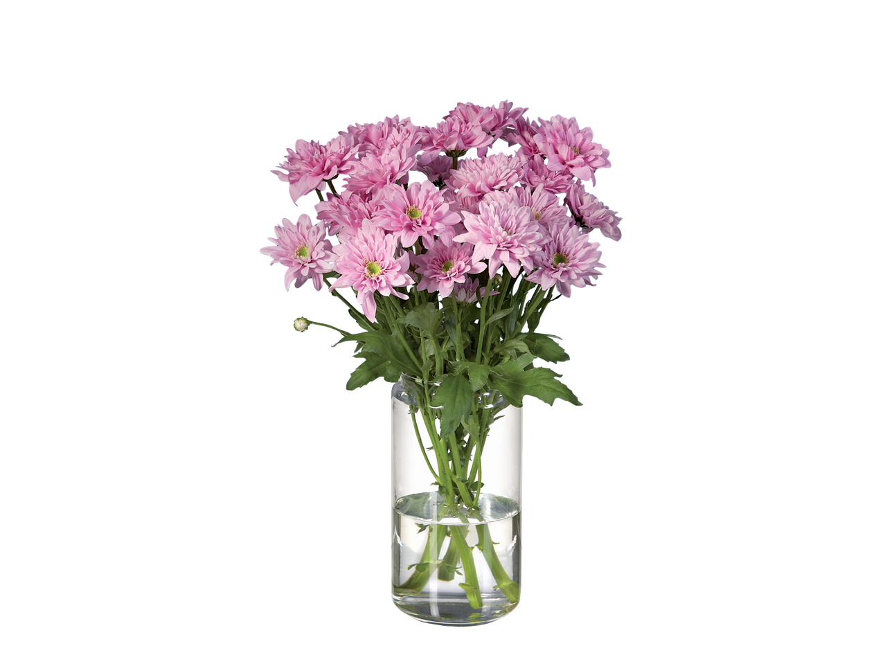 Buchet de crizanteme roz într-o vază de sticlă.