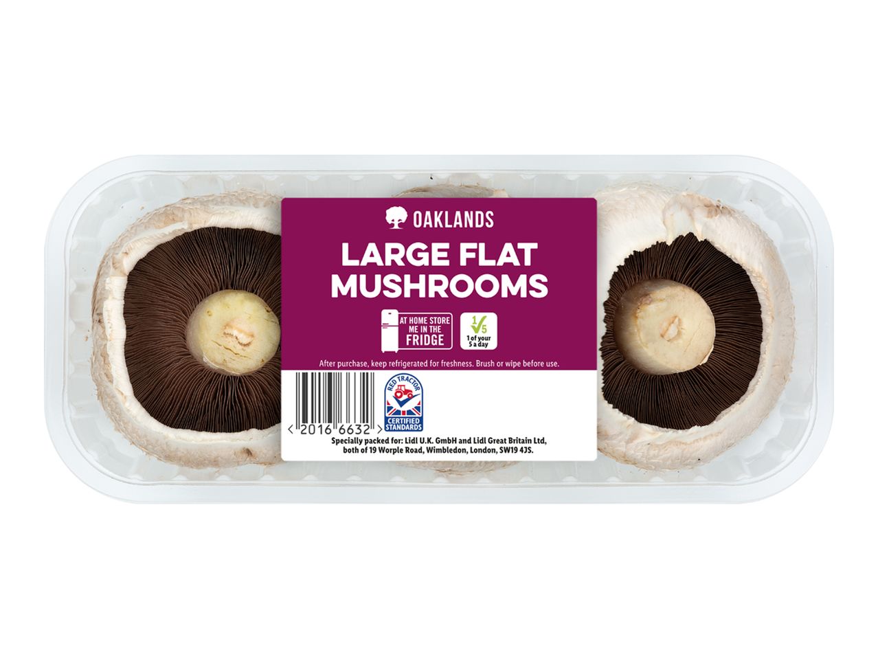 Oaklands large flat mushrooms.
